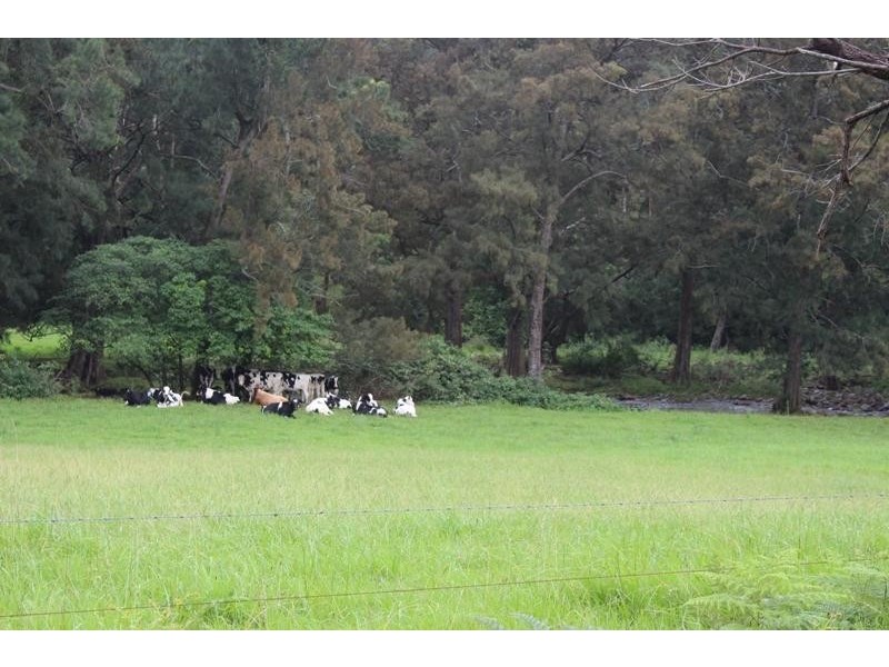 Jamberoo NSW 2533