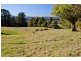 Robertson NSW 2577