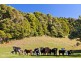 Robertson NSW 2577