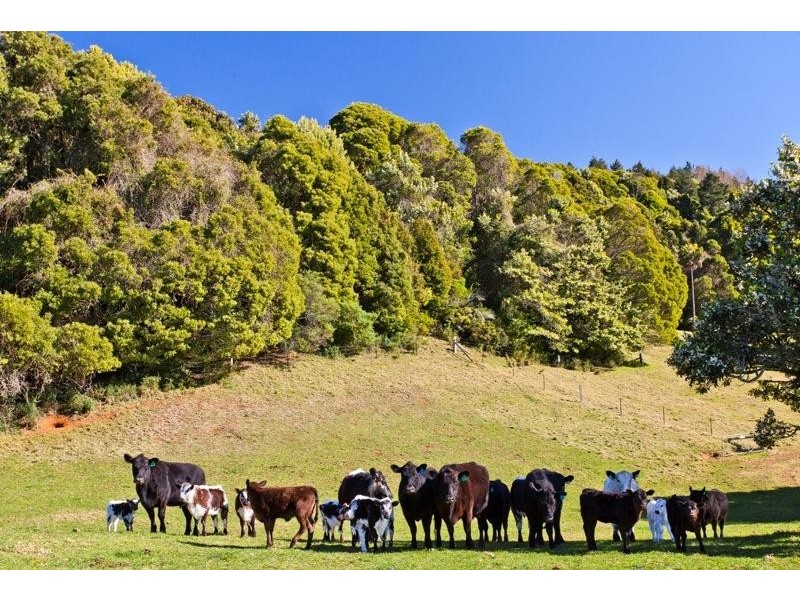 Robertson NSW 2577