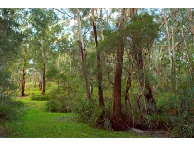 170 Jacks Valley  Road, Joadja NSW 2575