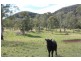 170 Jacks Valley  Road, Joadja NSW 2575