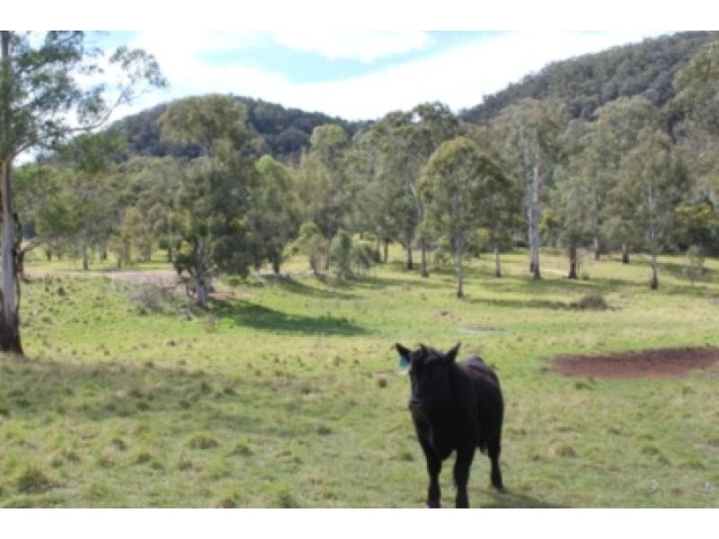 170 Jacks Valley  Road, Joadja NSW 2575