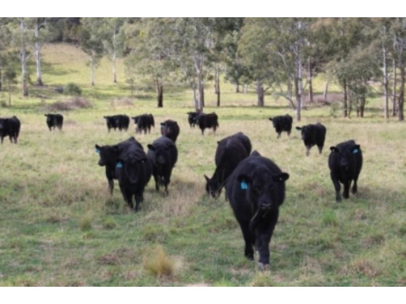 170 Jacks Valley  Road, Joadja NSW 2575