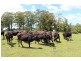 Jamberoo NSW 2533