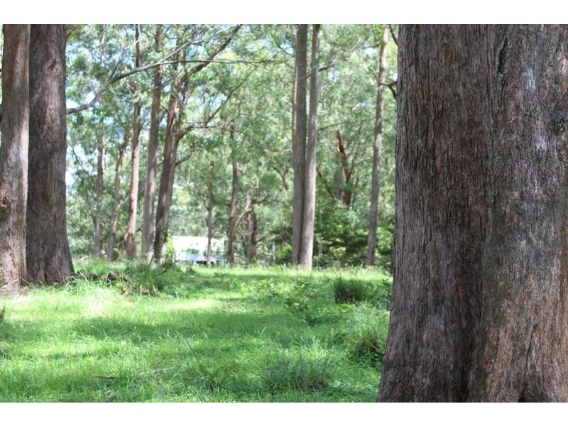 Jamberoo NSW 2533