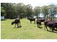 Jamberoo NSW 2533