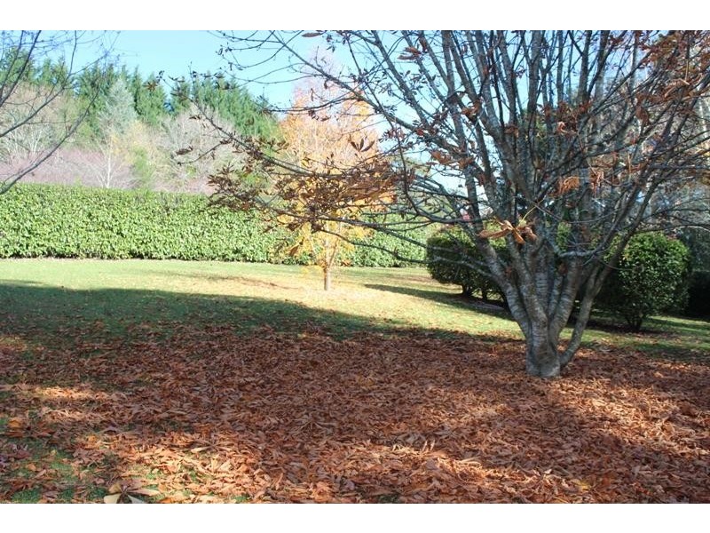 377 Elsmore Road, Exeter NSW 2579