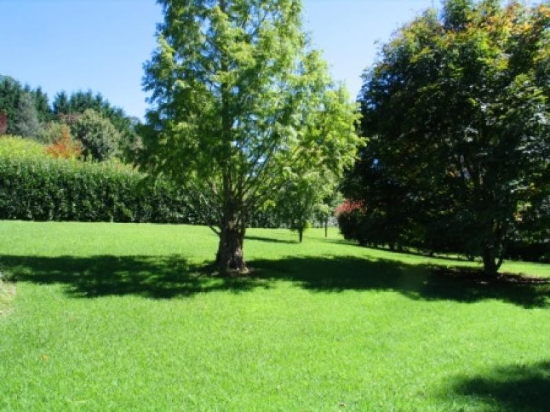 377 Elsmore Road, Exeter NSW 2579