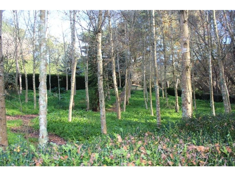 377 Elsmore Road, Exeter NSW 2579