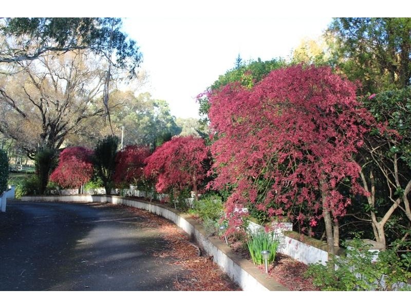 377 Elsmore Road, Exeter NSW 2579