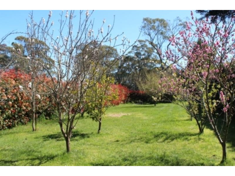 Moss Vale NSW 2577