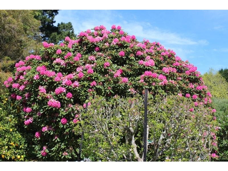 4 Lemmons Road, Robertson NSW 2577