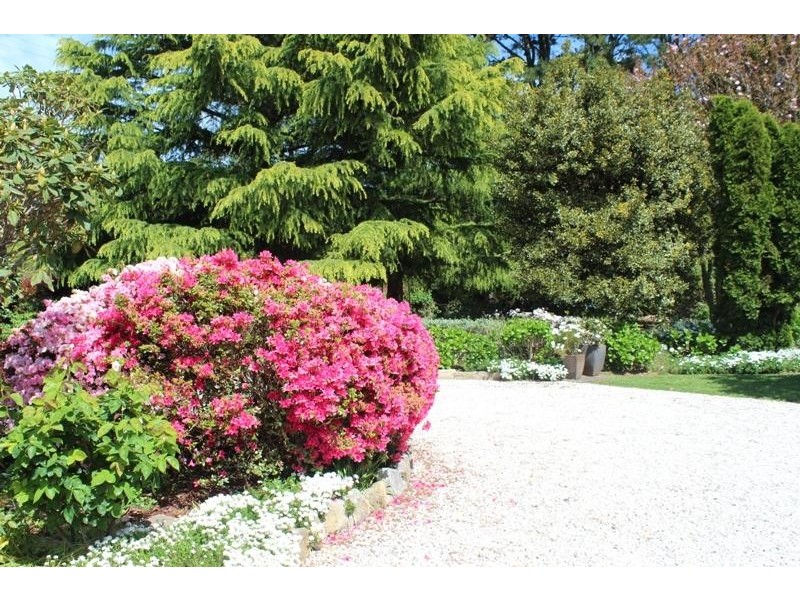 4 Lemmons Road, Robertson NSW 2577