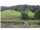 Tongarra NSW 2527