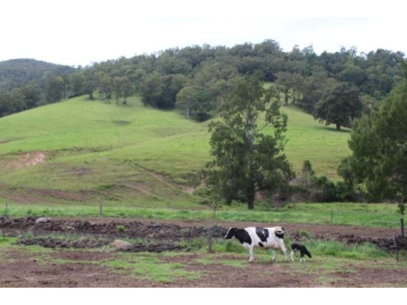 Tongarra NSW 2527