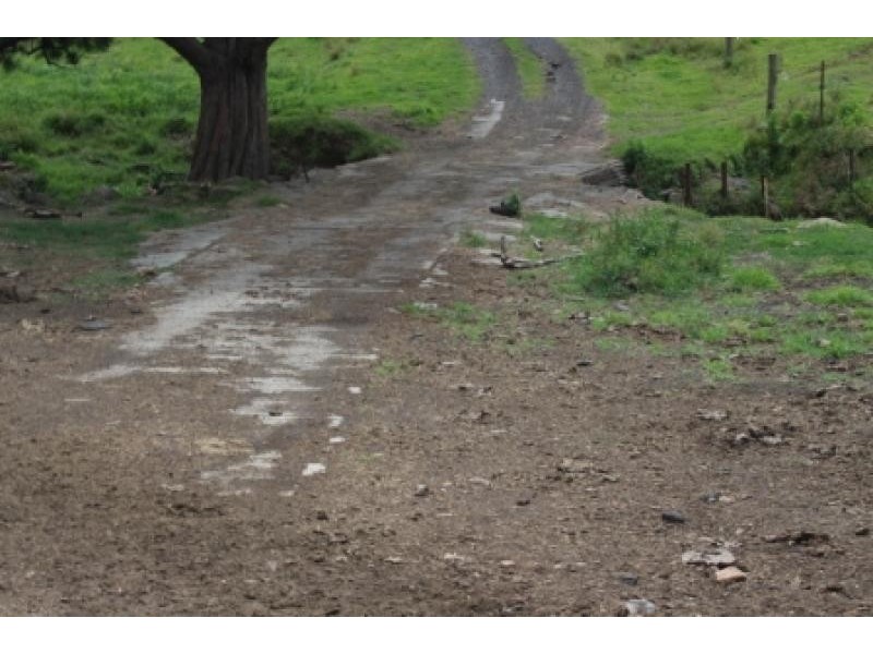 Tongarra NSW 2527