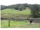 Tongarra NSW 2527