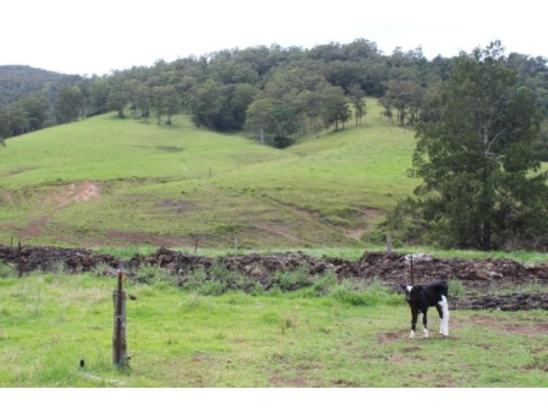 Tongarra NSW 2527