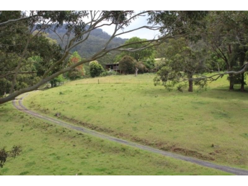 Tongarra NSW 2527