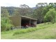 Tongarra NSW 2527