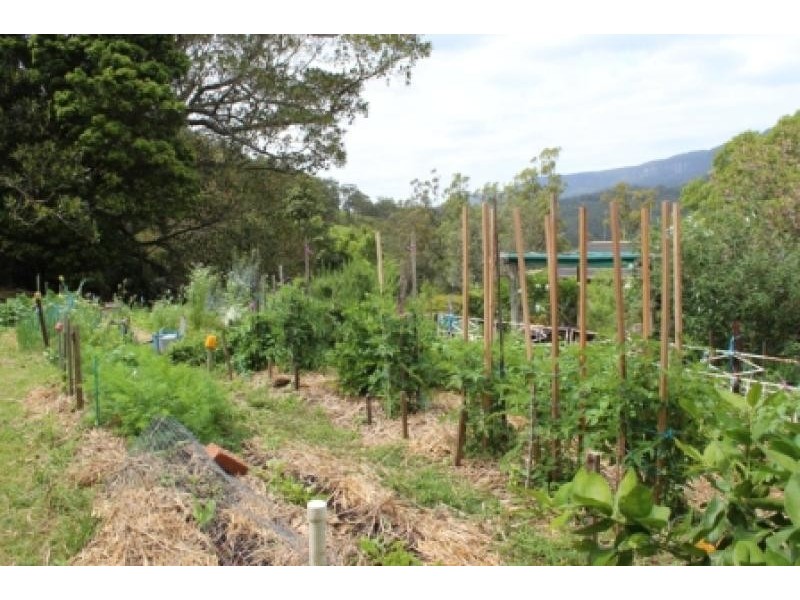 Tongarra NSW 2527