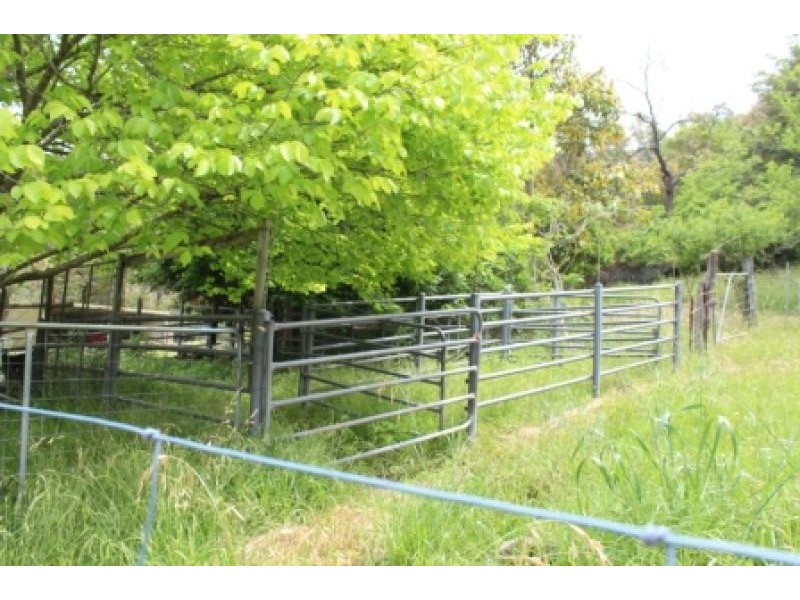 Tongarra NSW 2527