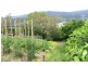 Tongarra NSW 2527