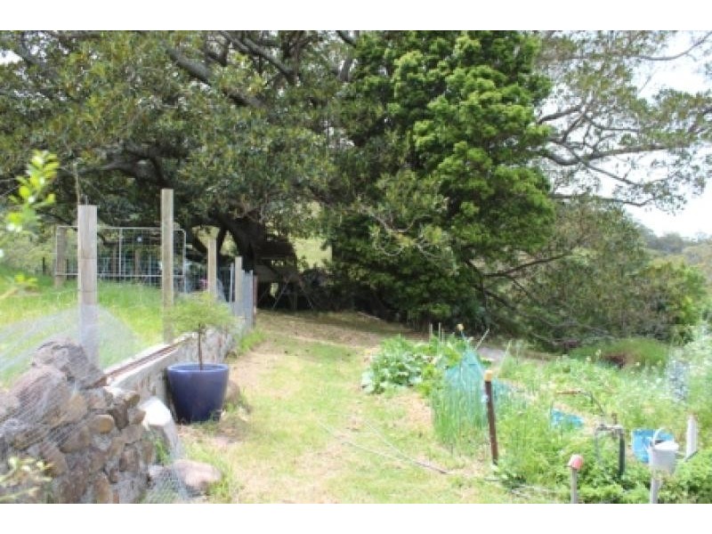 Tongarra NSW 2527