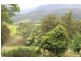 Tongarra NSW 2527