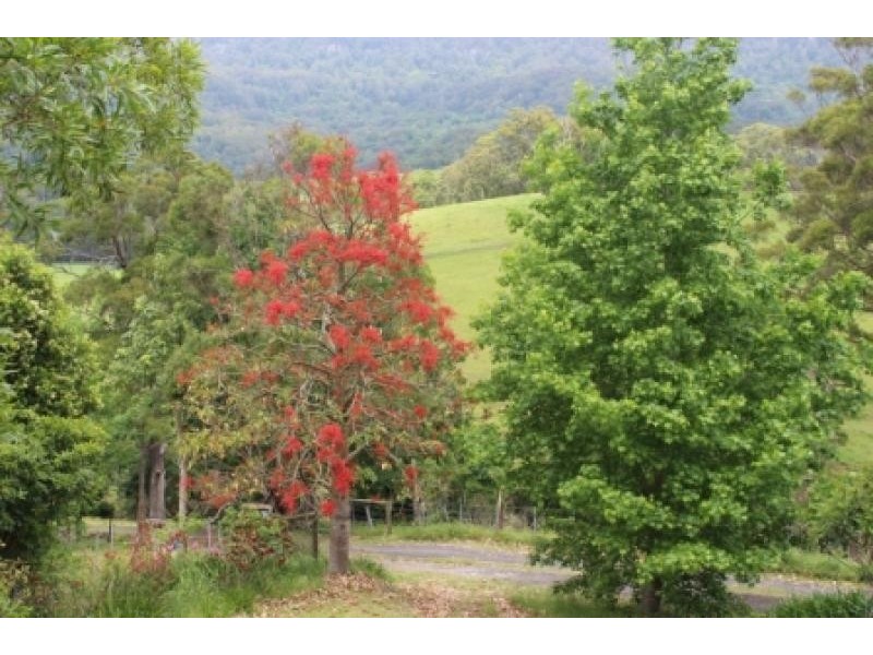 Tongarra NSW 2527