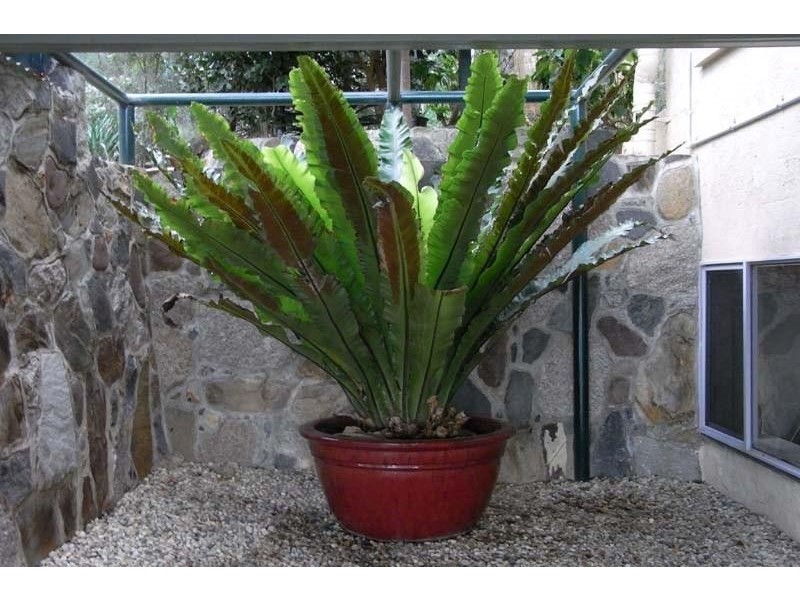 Dean  Street ALBURY 2640, Albury NSW 2640