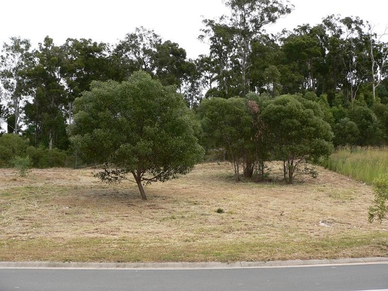 71  Bluetail Crescent UPPER COOMERA 4209, Upper Coomera QLD 4209