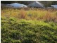 17 Murray Circuit UPPER COOMERA 4209, Upper Coomera QLD 4209