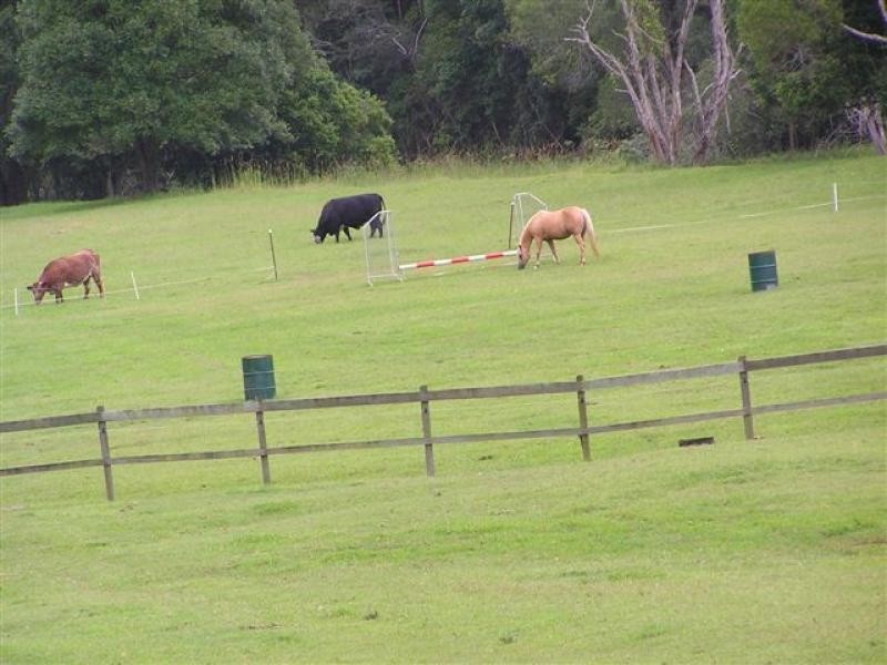 618 Gold Coast Springbrook Road MUDGEERABA 4213, Mudgeeraba QLD 4213