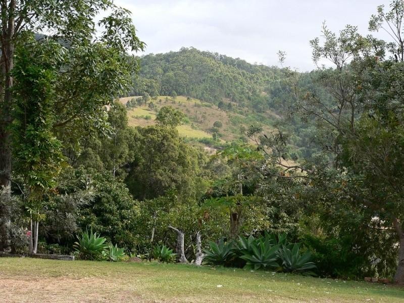 20 Baileys Mountain Road WILLOW VALE 4209, Willow Vale QLD 4209