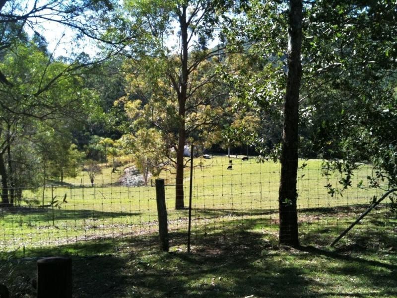 19 Elevation  Drive WONGAWALLAN 4210, Wongawallan QLD 4210