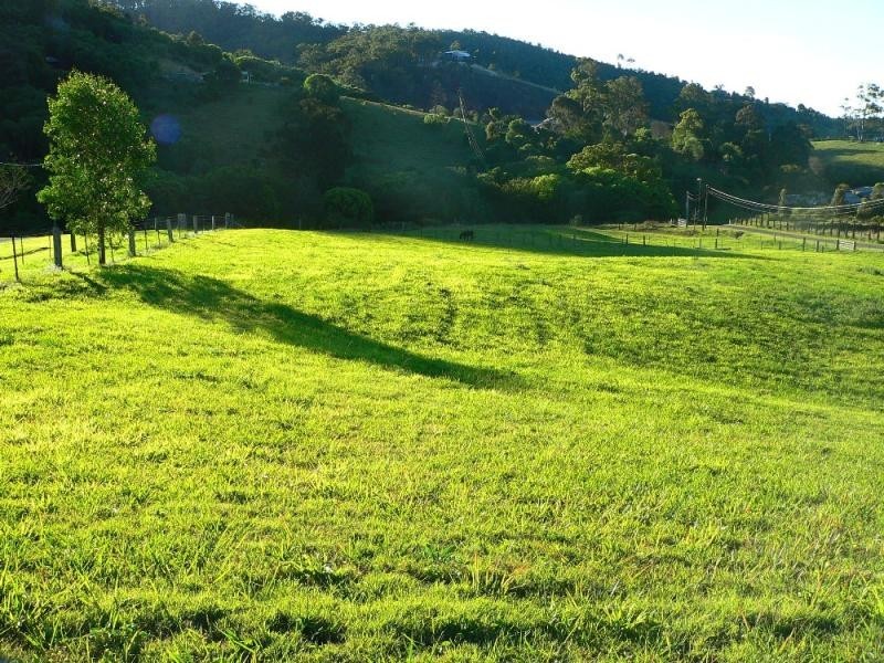 359A Ruffles  Road WILLOW VALE 4209, Willow Vale QLD 4209