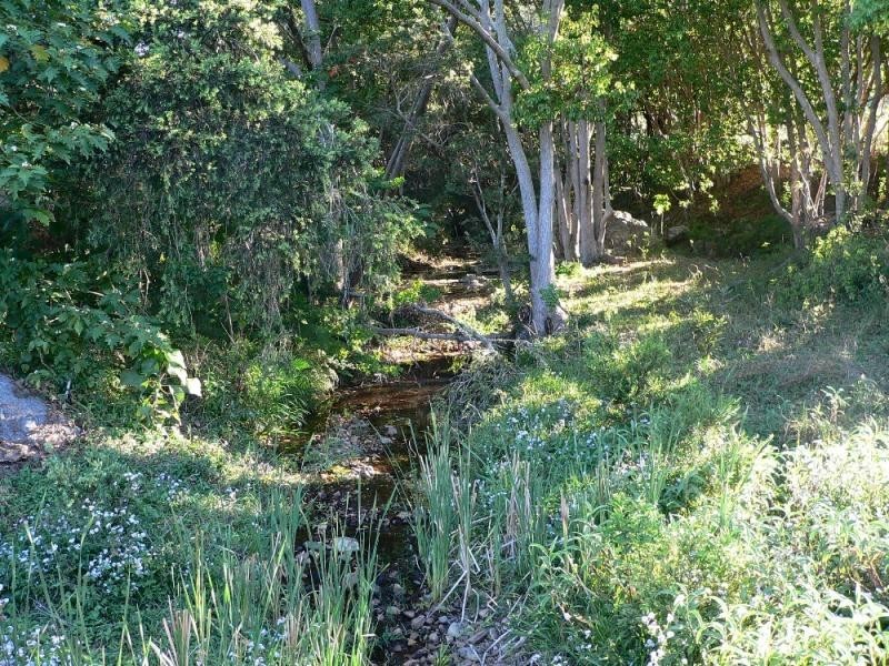 359A Ruffles  Road WILLOW VALE 4209, Willow Vale QLD 4209