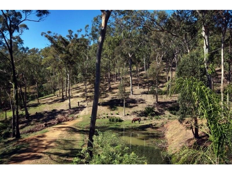37 Shane Road WILLOW VALE 4209, Willow Vale QLD 4209