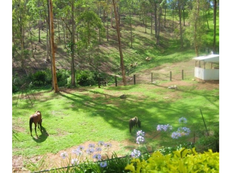 37 Shane Road WILLOW VALE 4209, Willow Vale QLD 4209