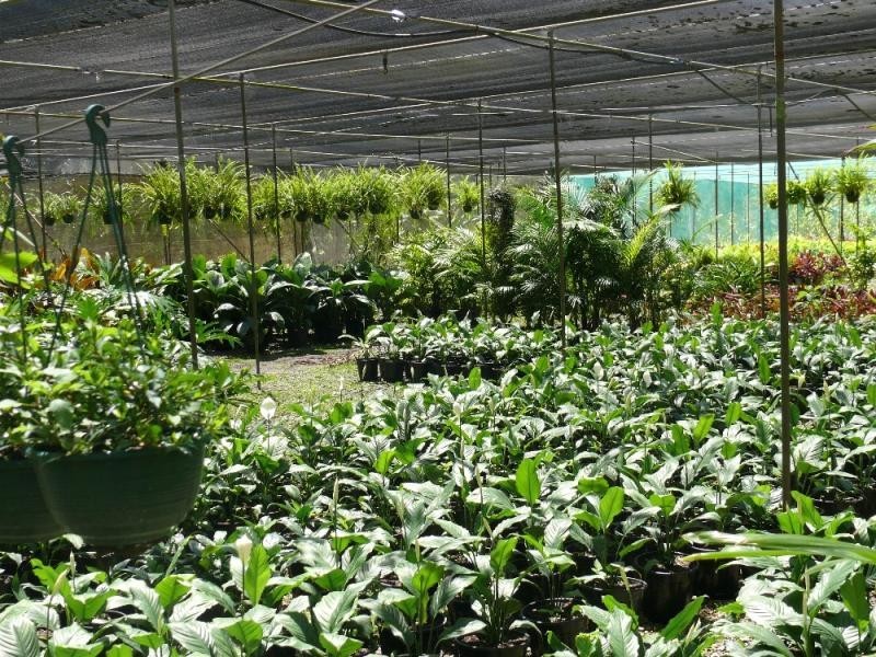 38 Clagiraba Road CLAGIRABA 4211, Clagiraba QLD 4211