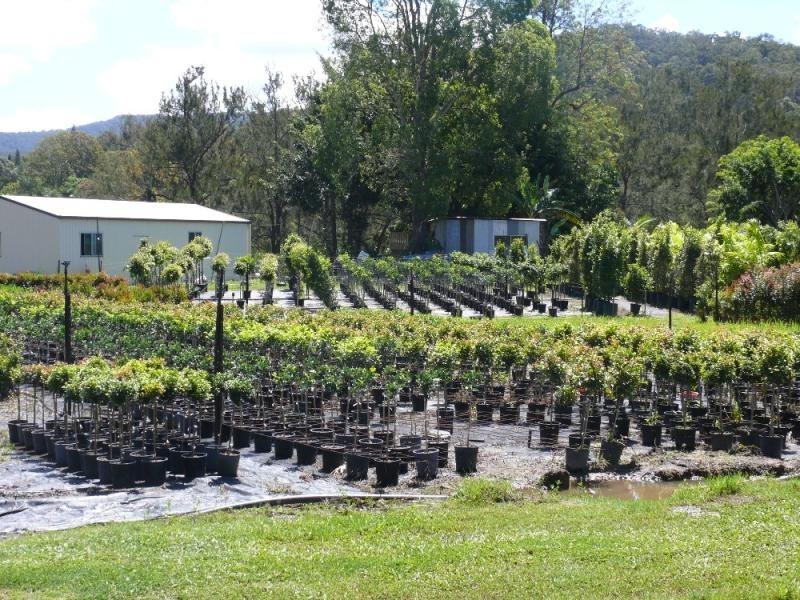 38 Clagiraba Road CLAGIRABA 4211, Clagiraba QLD 4211