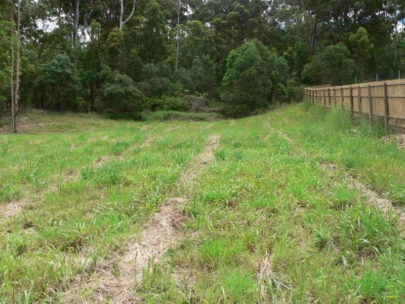 67  Bluetail Crescent UPPER COOMERA 4209, Upper Coomera QLD 4209
