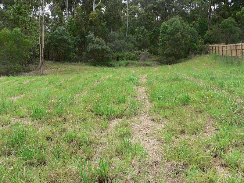 67  Bluetail Crescent UPPER COOMERA 4209, Upper Coomera QLD 4209
