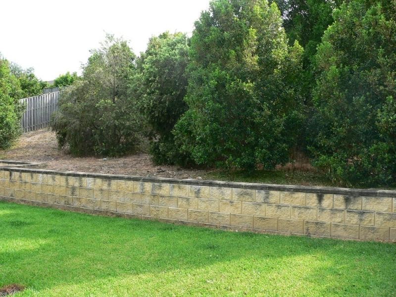 16 Nightjar Drive UPPER COOMERA 4209, Upper Coomera QLD 4209