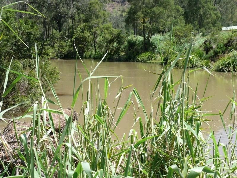 38 Clagiraba Road CLAGIRABA 4211, Clagiraba QLD 4211