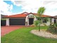 33 Roseapple Circuit OXENFORD 4210, Oxenford QLD 4210