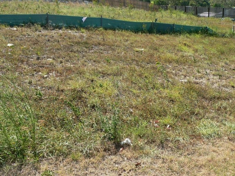 55 Heatherdale Drive UPPER COOMERA 4209, Upper Coomera QLD 4209