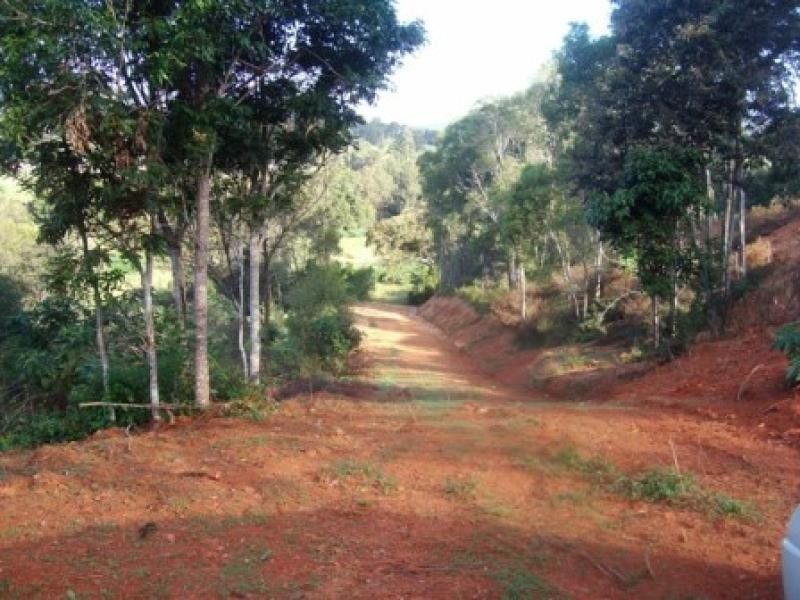51 Abbott Court GUANABA 4210, Guanaba QLD 4210